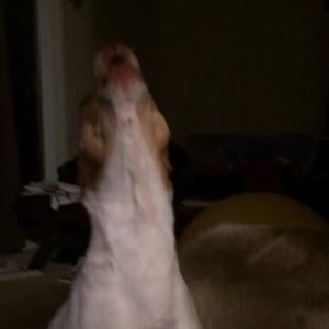 Meet your Posher, Rowena